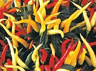Перец летний