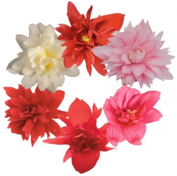 Бегония гибридная ампельная (зеленая листва) (Begonia hybrida)