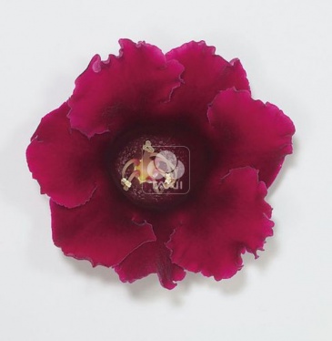 Глоксиния гибридная (Sinningia hybrida)