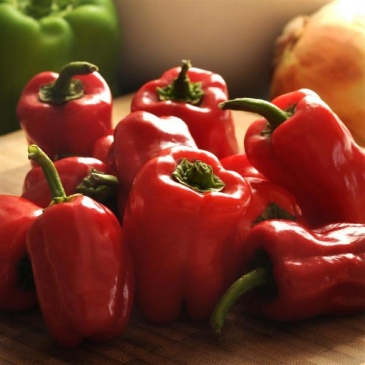 Перец летний (Capsicum annuum)