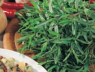 Чабер садовый (Summer Savory)