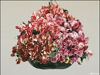 Горошек душистый (Fantasia)