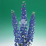 Дельфиниум высокий (Delphinium elatum)