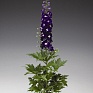 Дельфиниум высокий (Delphinium elatum)