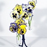Виола Виттрока бахромчатая (Viola wittrockiana)