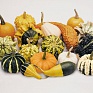 Тыква деоративная (Cucurbita pepo)