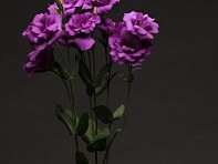 Лизиантус (Эустома) крупноцветковый (Flare F1)