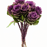 Декоративная капуста (Brassica oleracea)