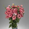 Лизиантус (Эустома) крупноцветковый (Lisianthus grandiflorum)