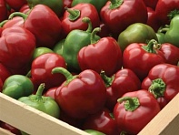 Перец летний (Snackabelle)