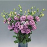 Лизиантус (Эустома) крупноцветковый (Lisianthus grandiflorum)