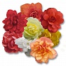 Бегония клубневая махровая ампельная (Begonia tuberhybrida)