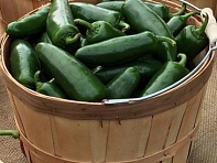 Перец летний (La Bomba II)