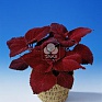 Колеус Блюме (Coleus blumei)